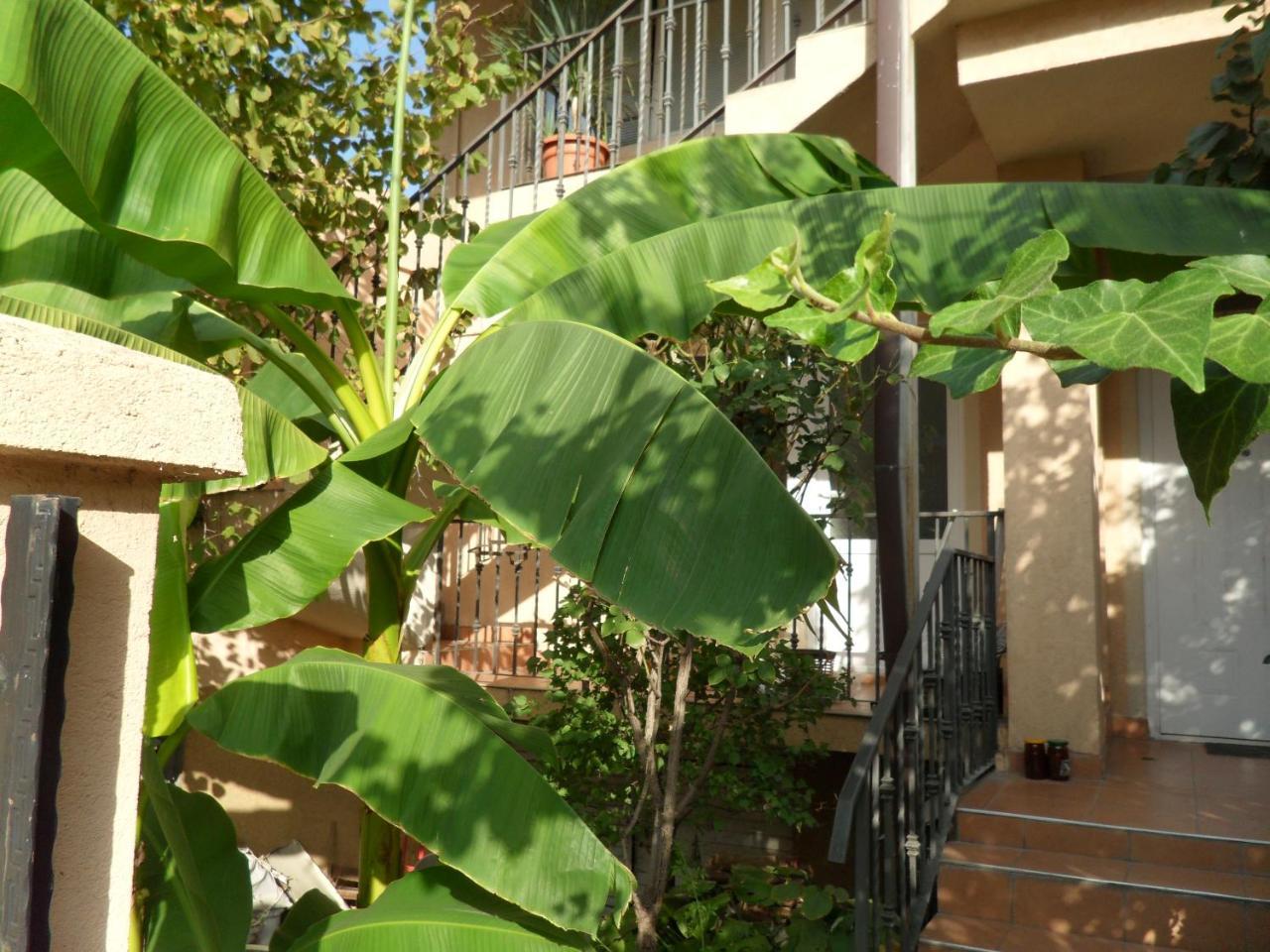 Misko'S Guest House Escópia Exterior foto